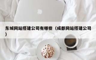 雅安东城网站搭建公司有哪些（成都网站搭建公司）